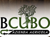 Olio extra Vergine Bio olio EVO BIO